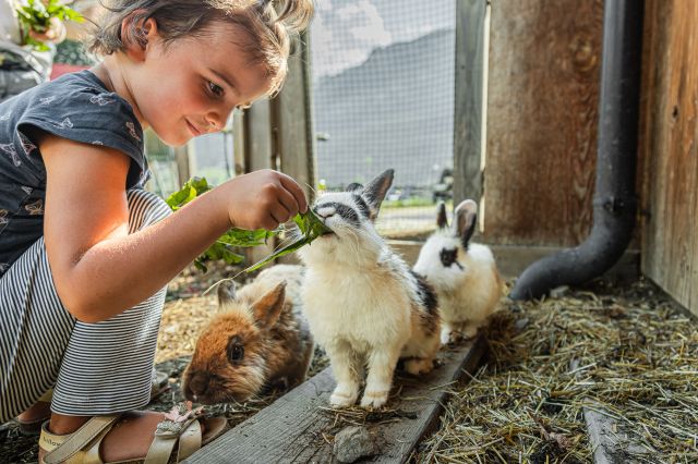 Vacanze in agriturismo in Alto Adige Immagine: Il nostro maso