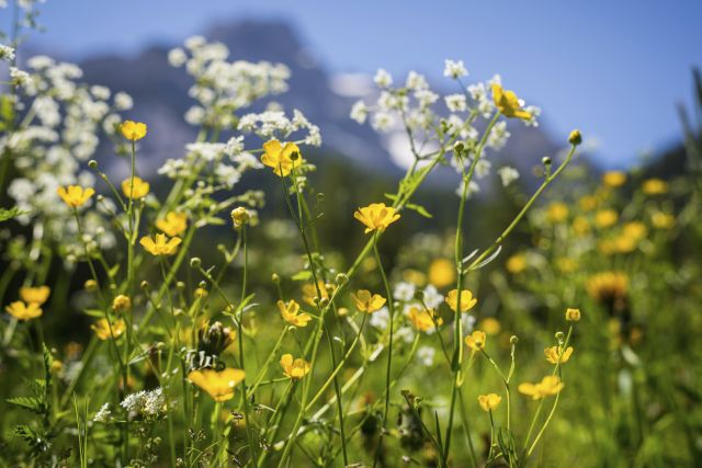 Vacanze estive in Val Badia Immagine: Vacanze estive in Val Badia