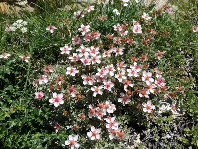 Image: Off season holidays in Alta Badia