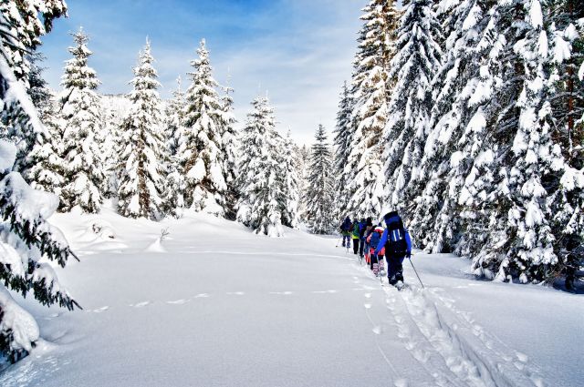 Wintersports in the Dolomites Image: Wintersports in the Dolomites